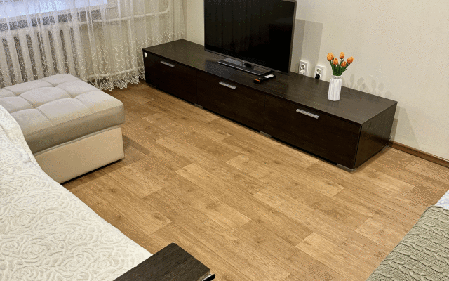 V Tsentre Goroda Flat