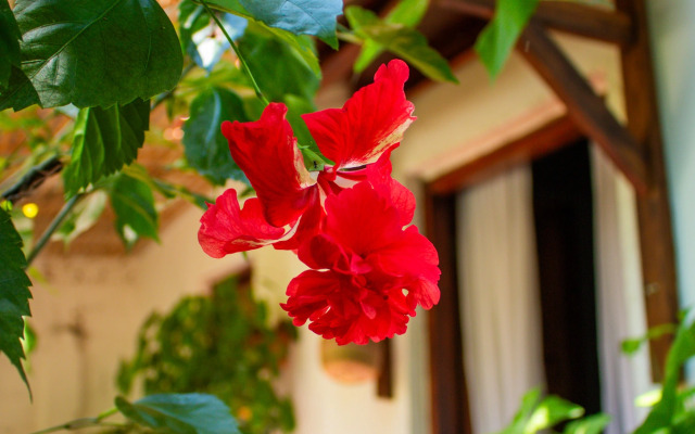 Бутик-отель Casa de Los Santos Reyes Valledupar