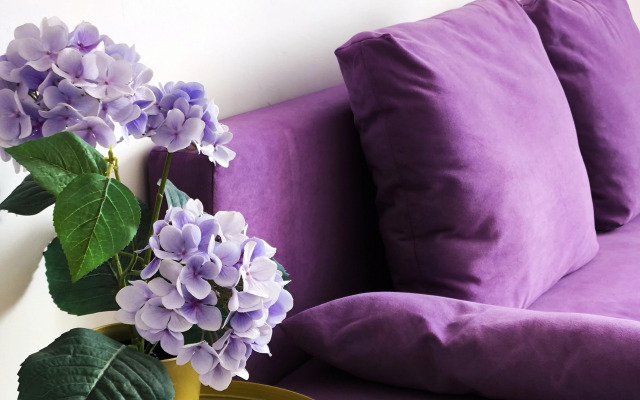 Квартира Экодомик Люберцы 438