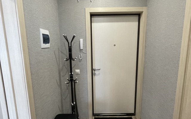 Апартаменты 1-комнатная квартира у Фермер Базара