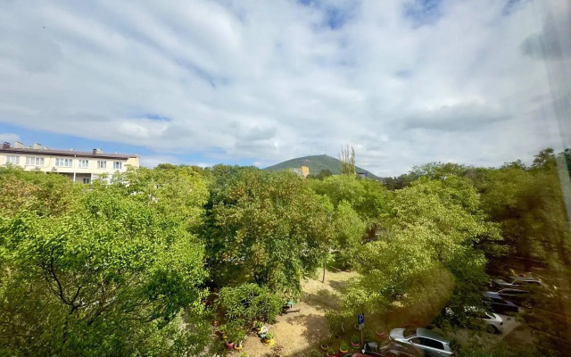 Квартира Оливка