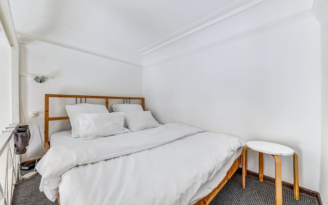 Апартаменты Просторная Скандиквартира в Сердце Города