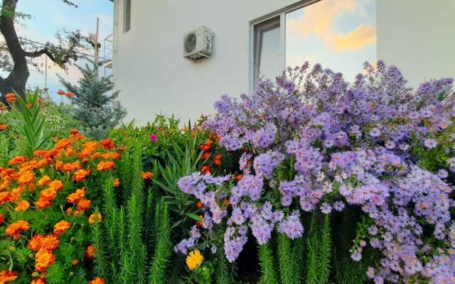 Sun Hill Guest House