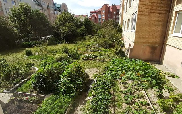 My I More Zhdyom Vas Na Kurorte Apartments