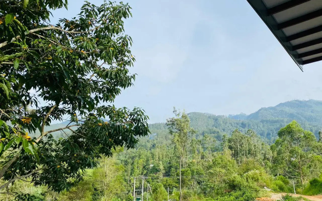Курортный отель The Tea Tree Resort