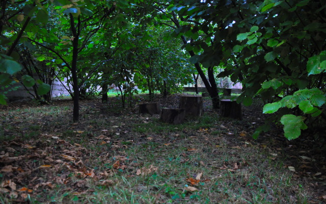 Kamar Guest house