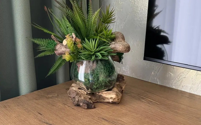 Апартаменты с видом на парк Куршская коса