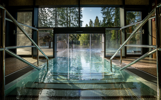 Okhta park Chalet