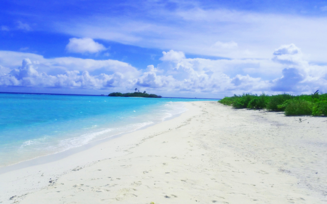 Royal Inn Rasdhoo Guest House