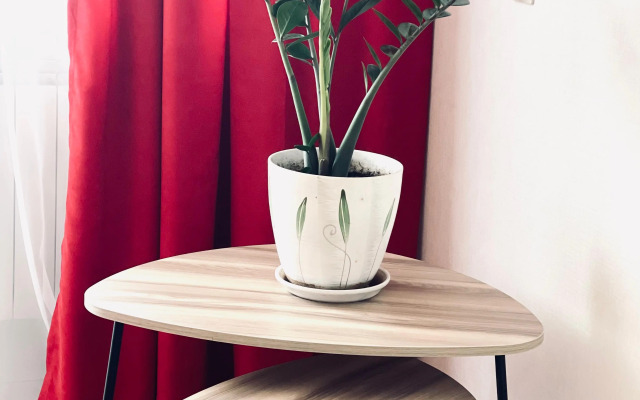 Uyuteaya Odnokomnatnaya V Rayone Avtovokzala Flat