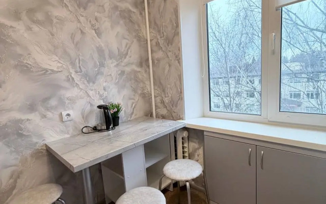 Квартира Светлая 1-ком на Ленина