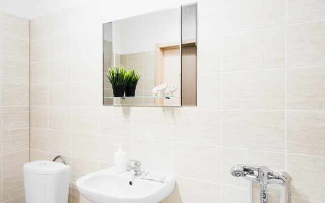 Апартаменты Pashk Inn Artek