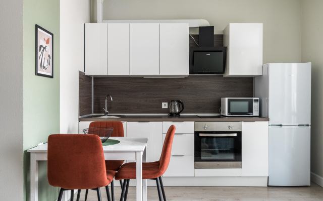 Skandi-studiia Piter Apartments u metro Frunzenskaia Flat