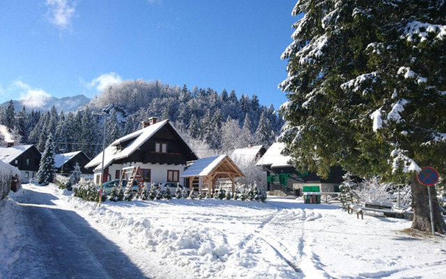 Self-Catering Bohinj Apartments
