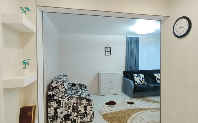 Dvukhkomnatnye novye v tsentre Apartments