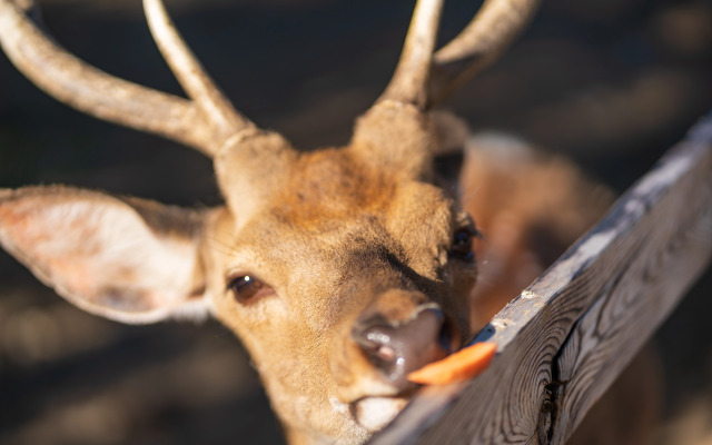 Отель Комплекc Загородного отдыха  Место 7