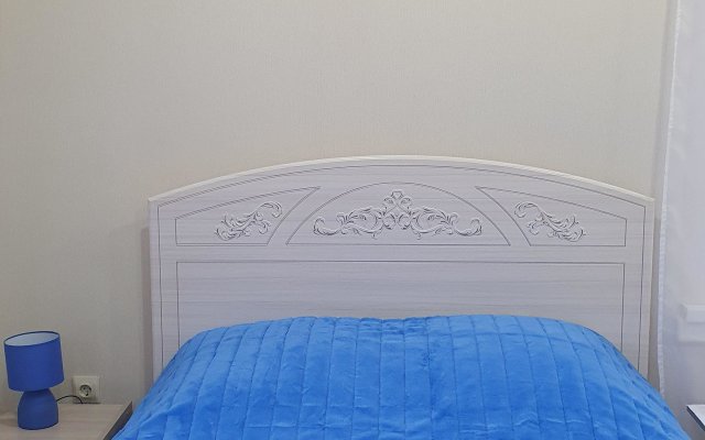 Avtorskie U Zolotykh Vorot Apartments