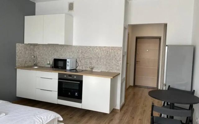 Domant Romanova 60/1 Apartments (8)