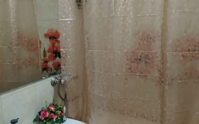 Апартаменты эконом класса в центре Рязани