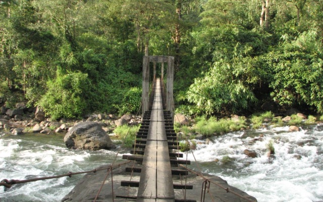 Moon Hill Resort Munnar ( Nature Retreat )