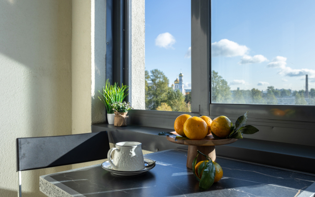 Privet Piter Flat