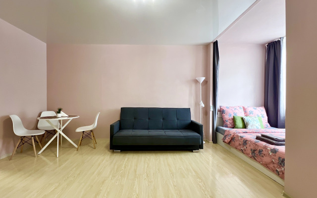 Квартира Студия Большая в Центре Фмр