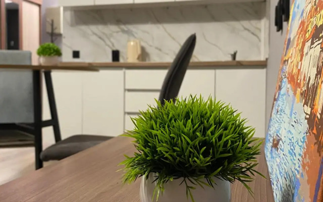 Uyutnaya Studiya Flat