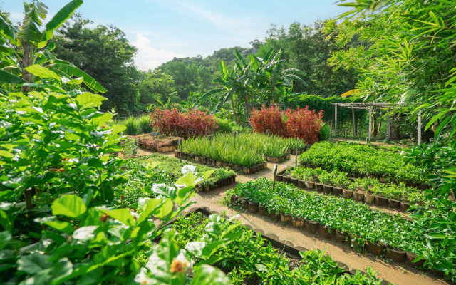 An Lam Retreats Ninh Van Bay Resort