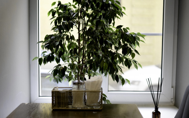 Отель Суворов