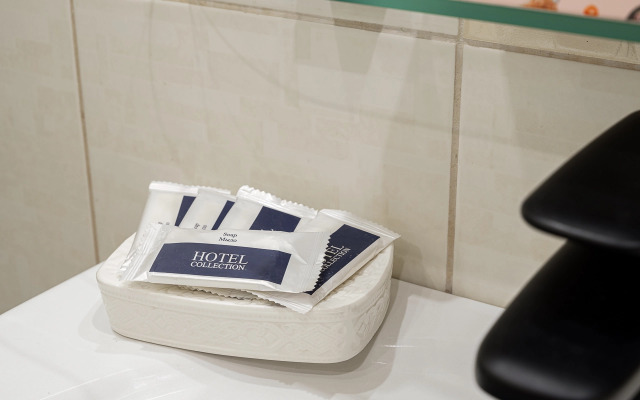 Апартаменты на крыше на Светлановской площади