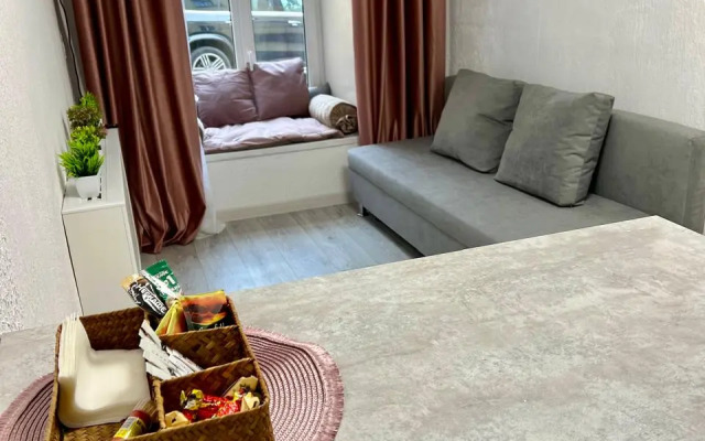 Апартаменты Студия N1 на Петроградке