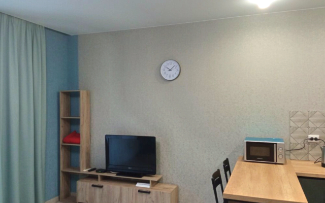 Апартаменты Удивительная 9