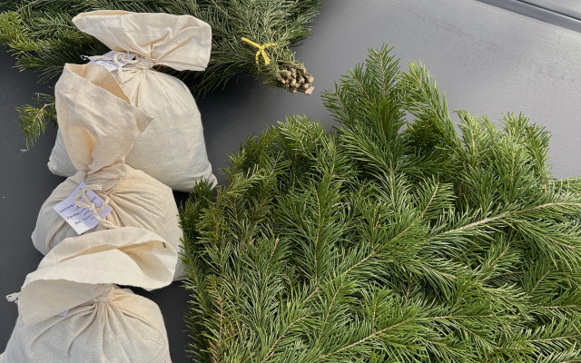 Частный дом Skandi Life