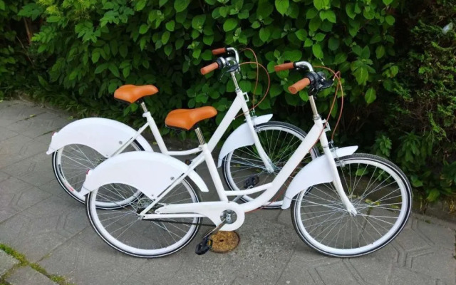 Частный дом Уютный на Балтийском побережье