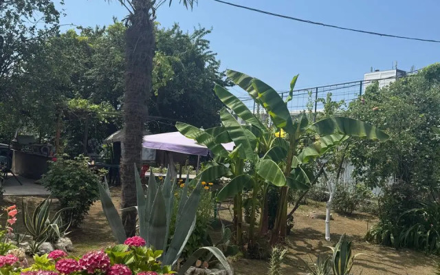 Anna Guest House