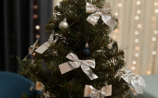 Квартира Уютная студия в Звёздном городке