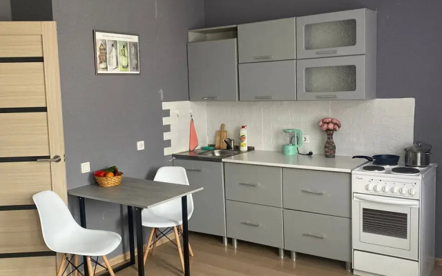Studiya v tsentre goroda Flat