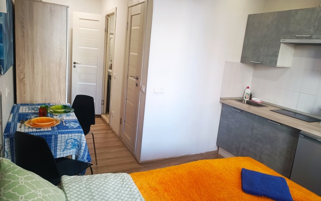 Апартаменты Studio Crocus №1 на Ильинском 2А