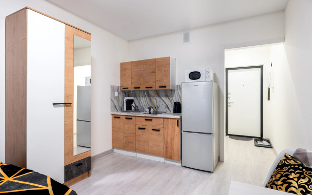 Uyutnaya Studiya Ryadom S. M. Devyatkino Apartments