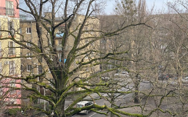 Апартаменты на Колоскова