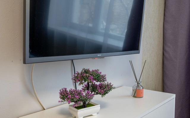Uyutnoye Zhilye dlya Komandirovok i Puteshestviy Flat