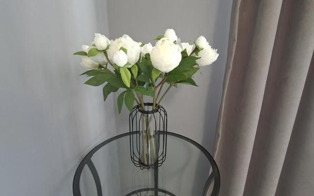 Uyutnaya V Tsentre Avtovokeal Pestova 5 Flat