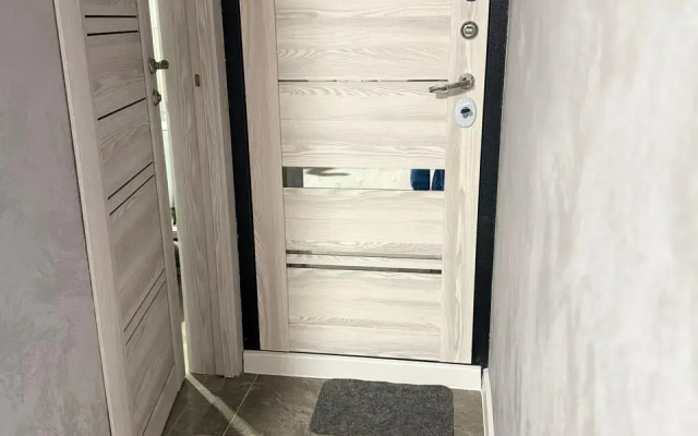Vidovaya Studiya Aeroport Tolmachevo Apartments