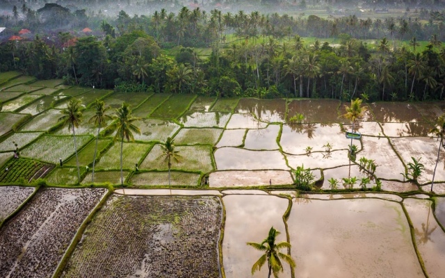 Вилла Cella Bella Ubud