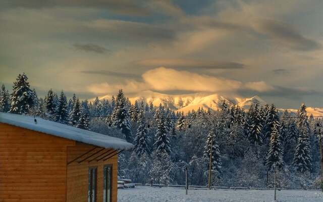 Отель Eco House Bakuriani