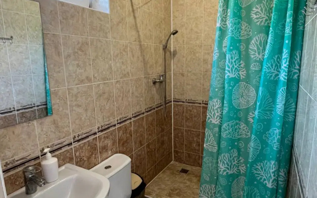 Гостевой дом Золотая лоза