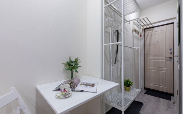 Apartamenty V Tsentre - Ligovskiy 87 (1)