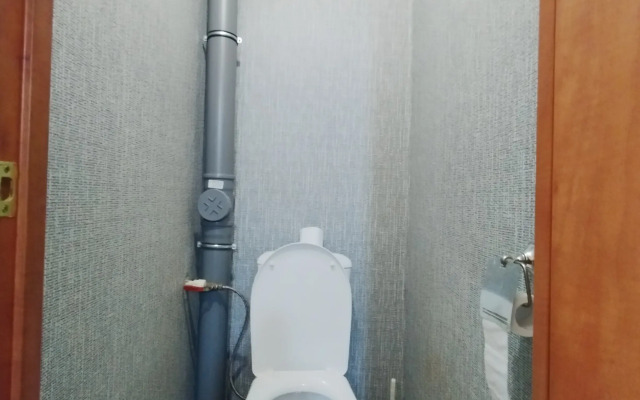 Prostornye Na Prospekte Pobedy Apartments