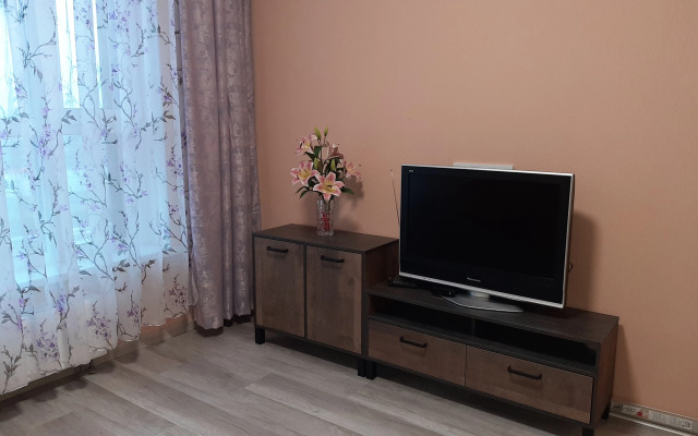 U Finskogo zaliva na Vasilievskom ostrove Flat