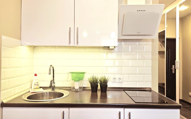 Апартаменты Елагин 80